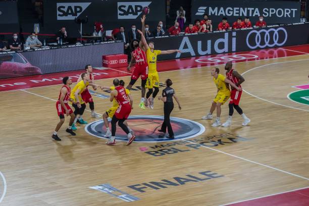 塔图姆与布 塔图姆与布