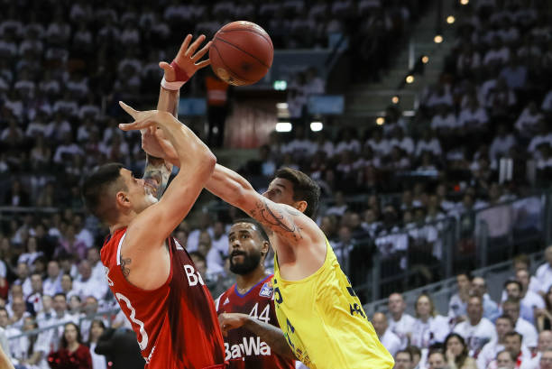 张本智和击 张本智和击